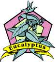 Eucalyptus  Oil